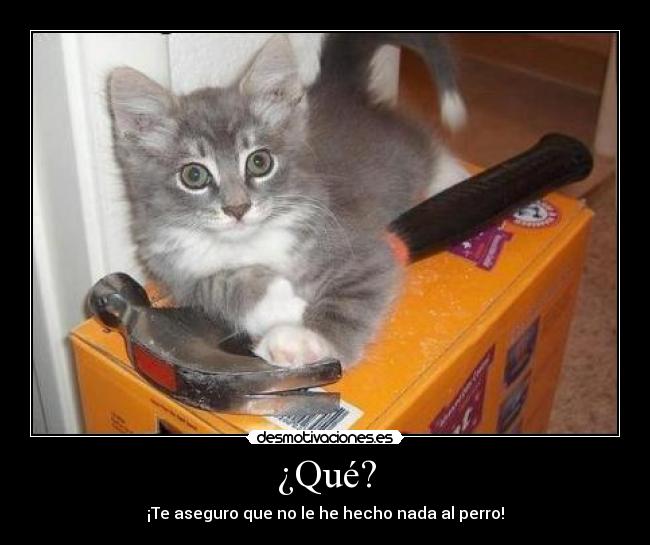 ¿Qué? -
