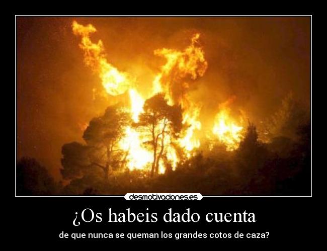 ¿Os habeis dado cuenta -