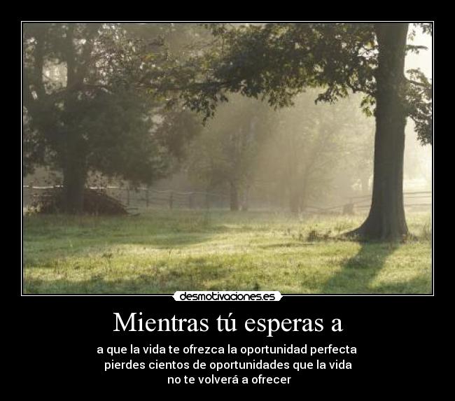 Mientras tú esperas a - a que la vida te ofrezca la oportunidad perfecta 
pierdes cientos de oportunidades que la vida
 no te volverá a ofrecer