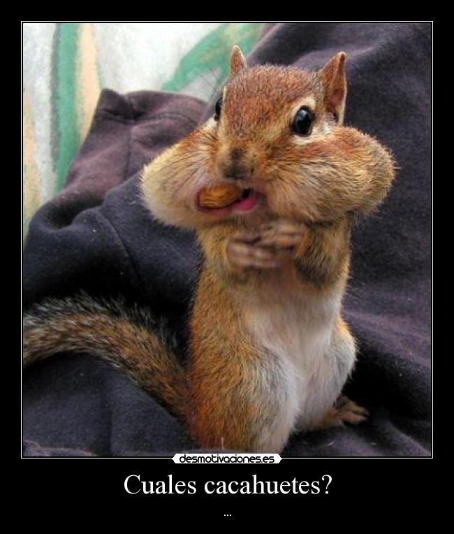 Cuales cacahuetes? - ...