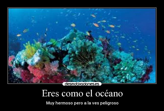 Eres como el océano - Muy hermoso pero a la ves peligroso