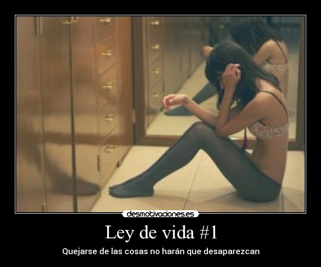 Ley de vida #1 - 