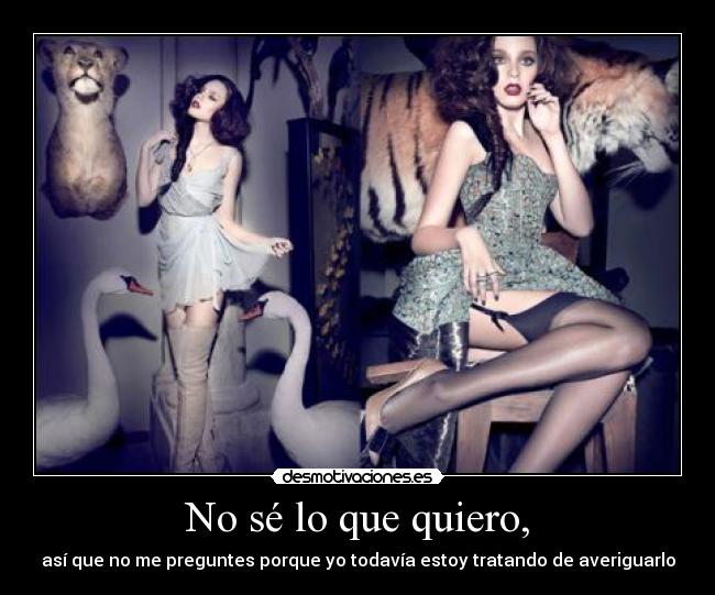 No sé lo que quiero, -