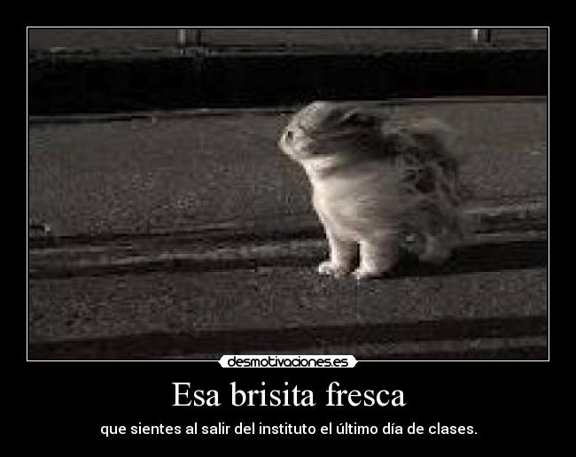Esa brisita fresca - que sientes al salir del instituto el último día de clases.