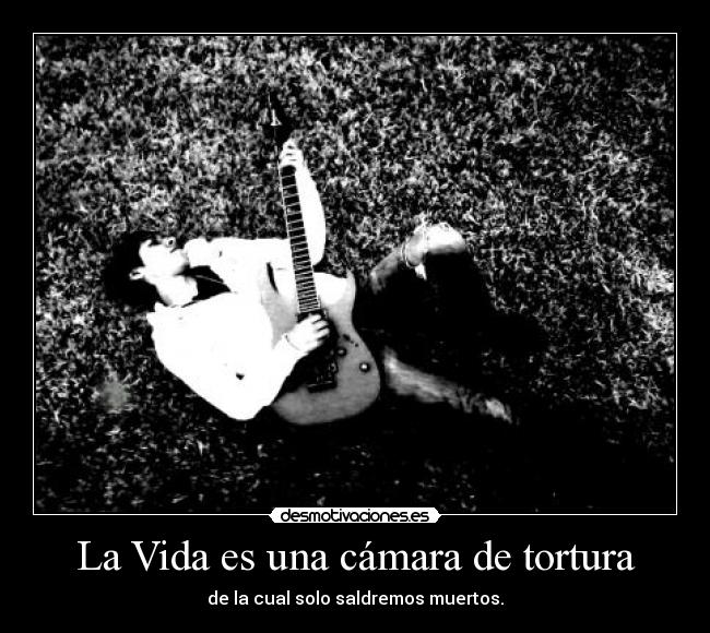 carteles vida vida muerte desmotivaciones