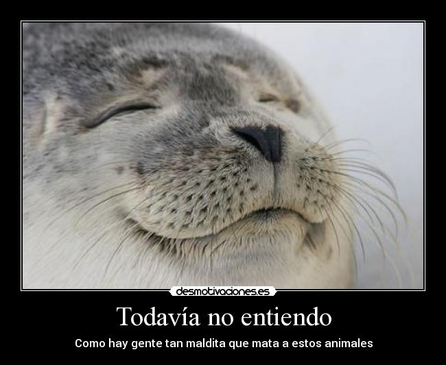 Todavía no entiendo -