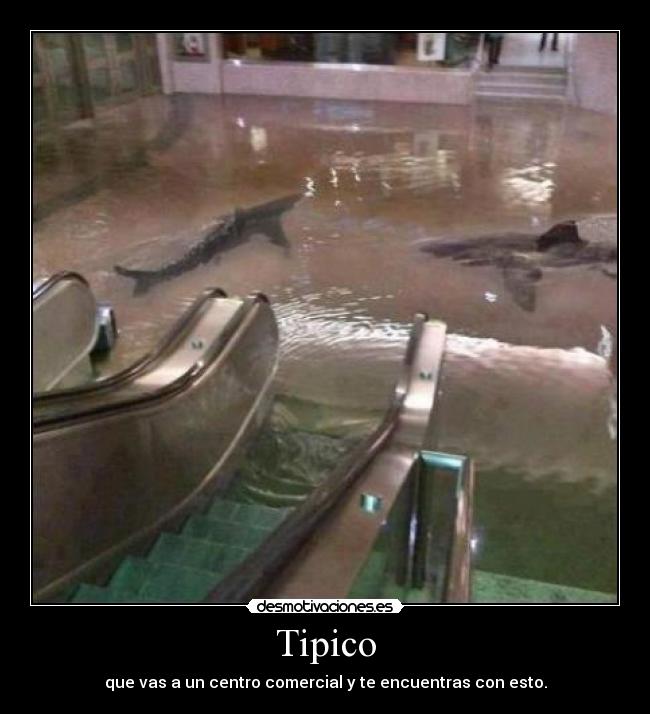 Tipico - 