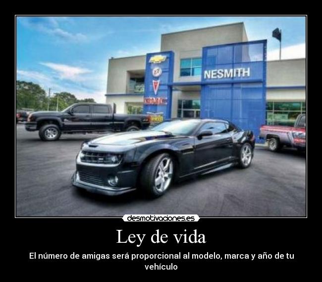 Ley de vida - El número de amigas será proporcional al modelo, marca y año de tu vehículo
