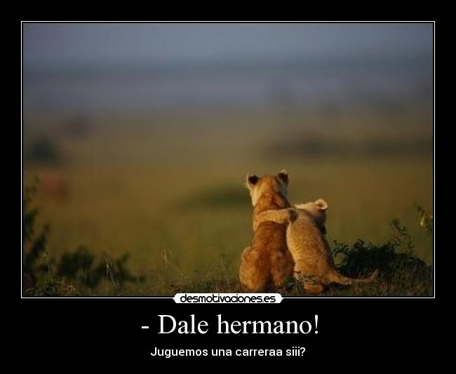 - Dale hermano! -