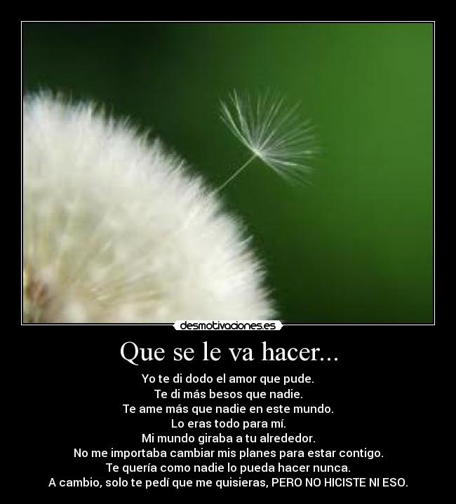 Que se le va hacer... - Yo te di dodo el amor que pude.
Te di más besos que nadie.
Te ame más que nadie en este mundo.
Lo eras todo para mí.
Mi mundo giraba a tu alrededor.
No me importaba cambiar mis planes para estar contigo.
Te quería como nadie lo pueda hacer nunca.
A cambio, solo te pedí que me quisieras, PERO NO HICISTE NI ESO.