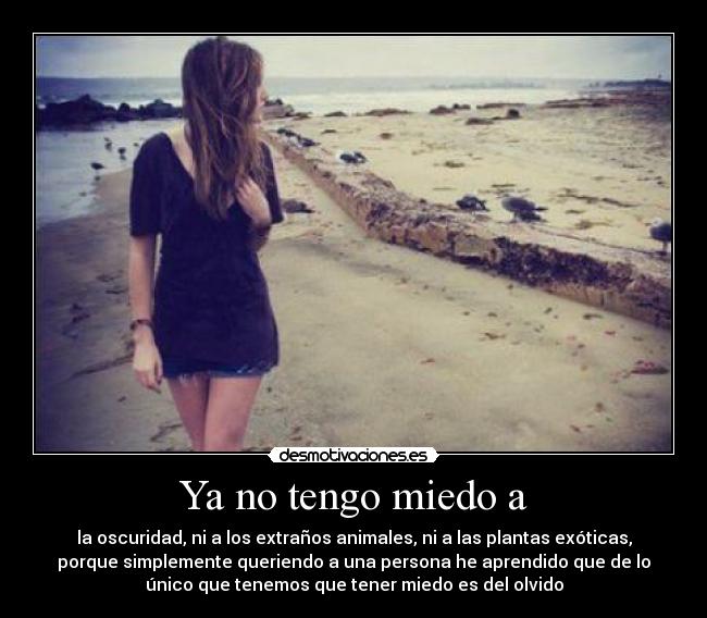 carteles miedo amigosara desmotivaciones