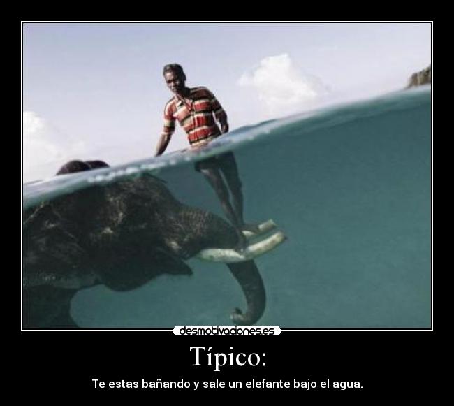 Típico: - Te estas bañando y sale un elefante bajo el agua.