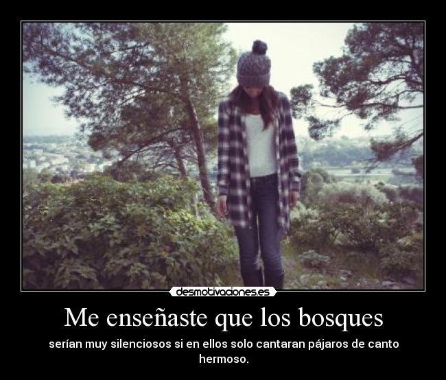 Me enseñaste que los bosques -
