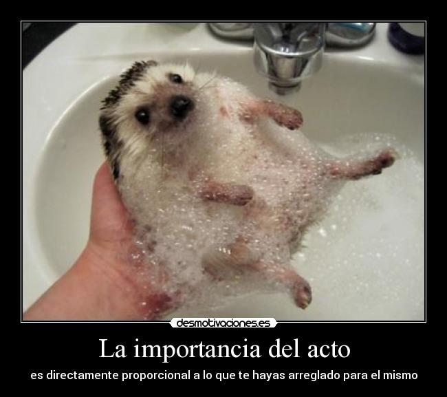 La importancia del acto -