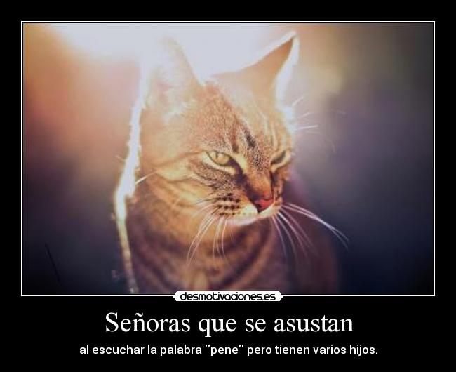 Señoras que se asustan -