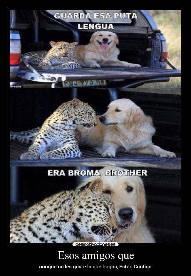 Esos amigos que - aunque no les guste lo que hagas, Están Contigo.