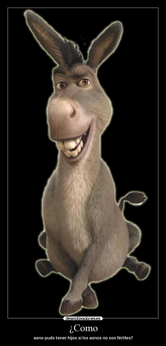 ¿Como - asno pudo tener hijos si los asnos no son fértiles?