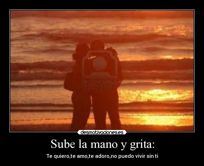 Sube la mano y grita: - Te quiero,te amo,te adoro,no puedo vivir sin ti