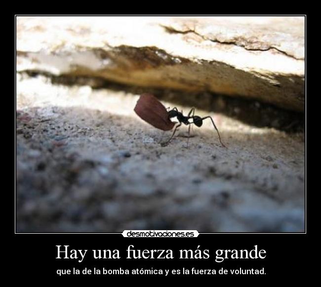 carteles para placer conocerte dime nombre que algo quiero proponerte desmotivaciones