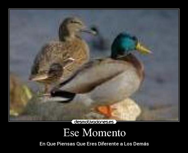 Ese Momento - 