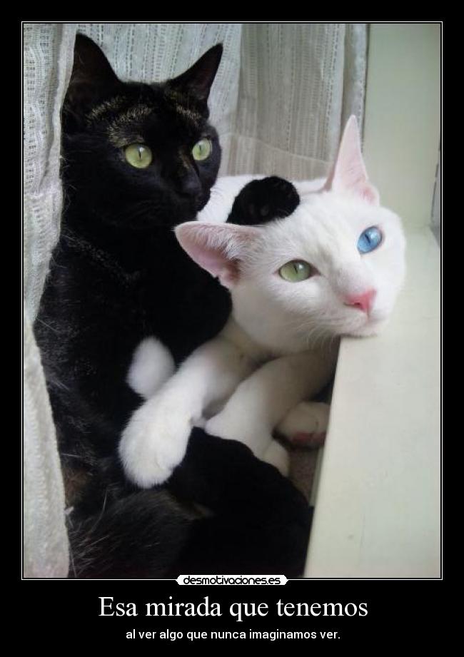 Esa mirada que tenemos - al ver algo que nunca imaginamos ver.