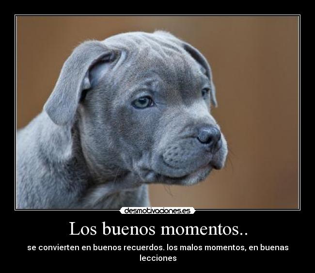 Los buenos momentos.. -