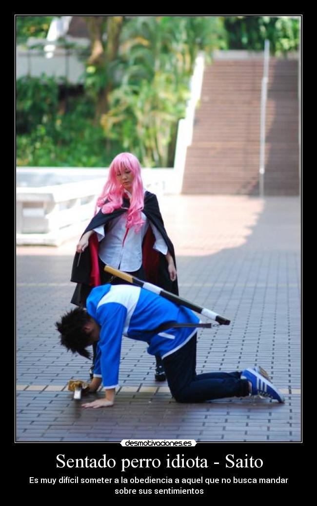 Sentado perro idiota - Saito - 