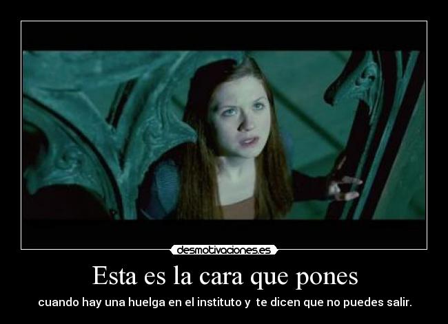 Esta es la cara que pones - cuando hay una huelga en el instituto y te dicen que no puedes salir.