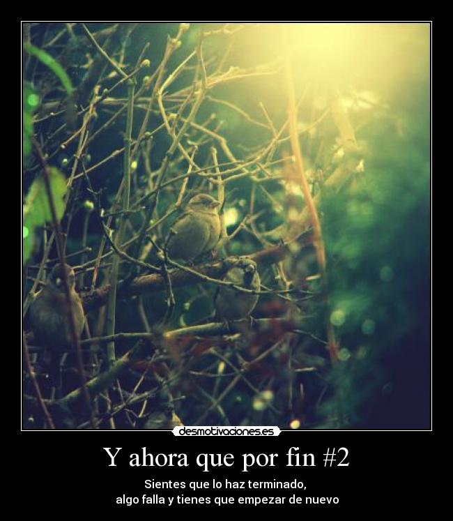 Y ahora que por fin #2 - 