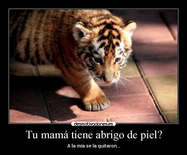 Tu mamá tiene abrigo de piel? - A la mía se la quitaron...