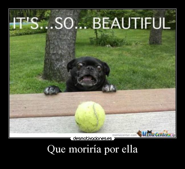 Que moriría por ella -