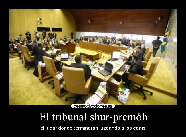 El tribunal shur-premóh -