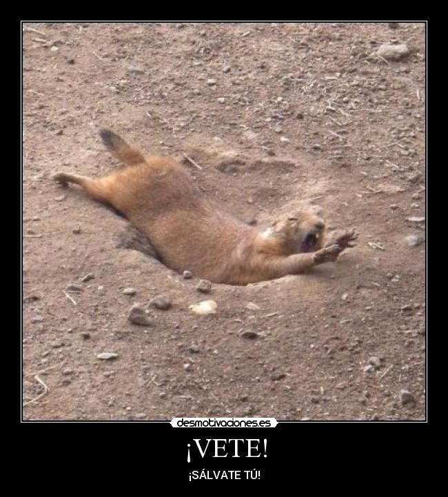 carteles dejamos fukerismo rato desmotivaciones