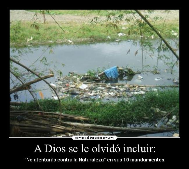 carteles dios naturaleza dios desmotivaciones