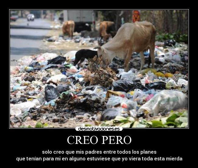 CREO PERO - solo creo que mis padres entre todos los planes
que tenían para mi en alguno estuviese que yo viera toda esta mierda