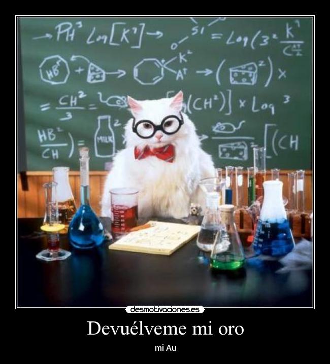 carteles miau oro desmotivaciones