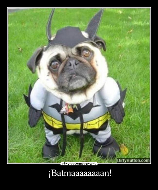 ¡Batmaaaaaaaan! - 