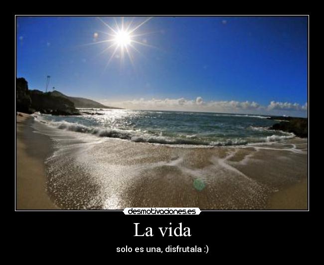 carteles vida life desmotivaciones