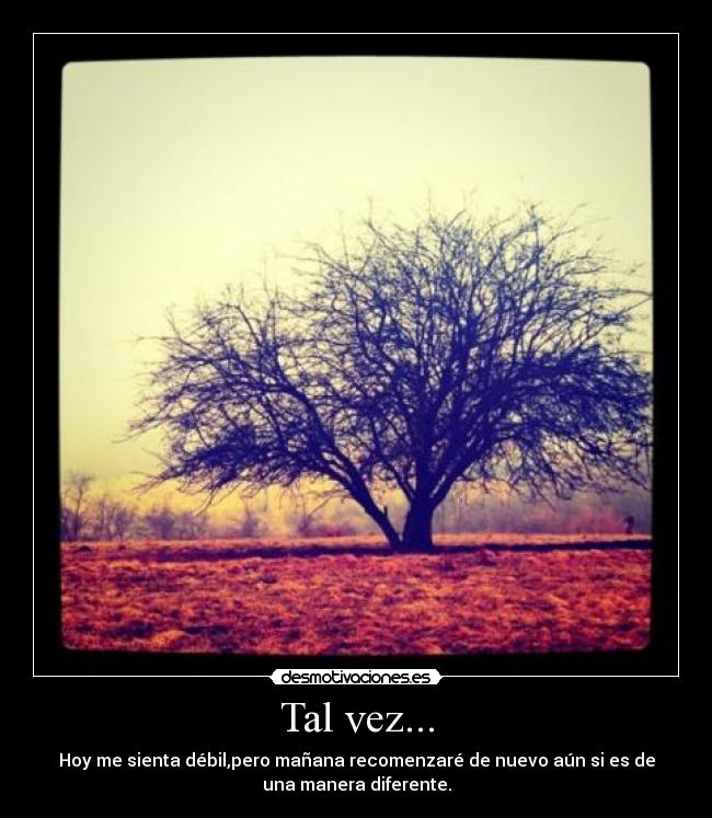 Tal vez... -