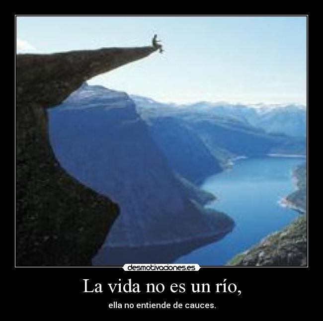 carteles vida vida desmotivaciones