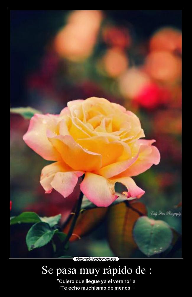 Se pasa muy rápido de : - Quiero que llegue ya el verano a
Te echo muchísimo de menos