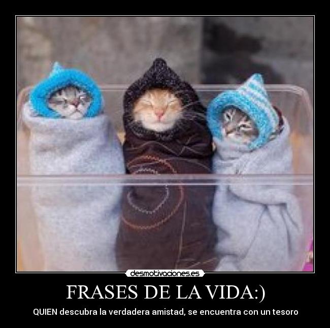 FRASES DE LA VIDA:) - QUIEN descubra la verdadera amistad, se encuentra con un tesoro