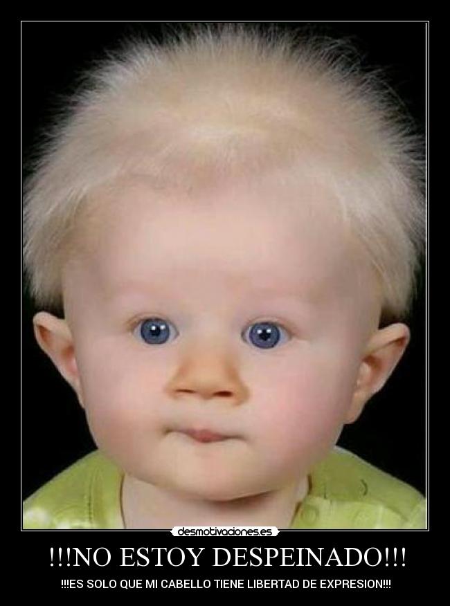 !!!NO ESTOY DESPEINADO!!! - 