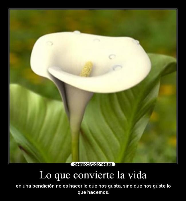 carteles vida eso enserio desmotivaciones