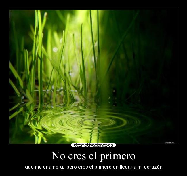 No eres el primero - que me enamora, pero eres el primero en llegar a mi corazón