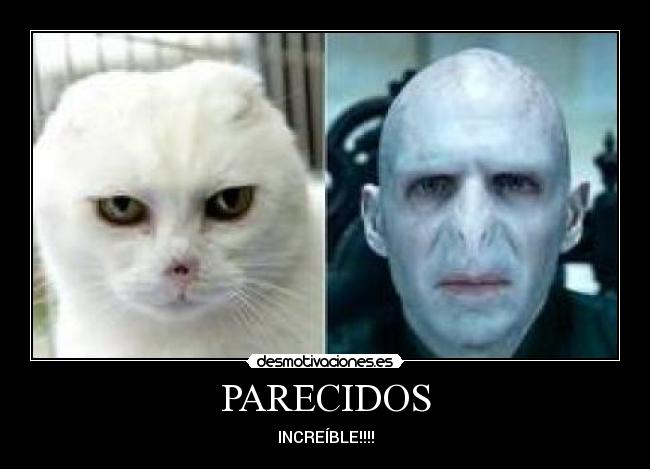 PARECIDOS - 