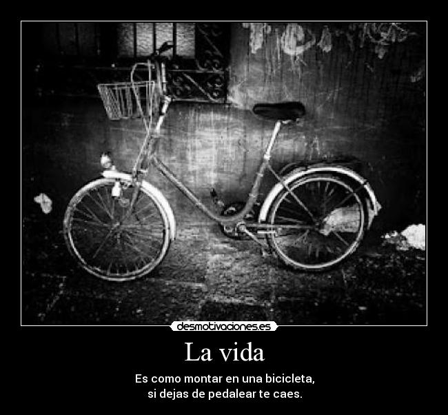 La vida - Es como montar en una bicicleta,
si dejas de pedalear te caes.
