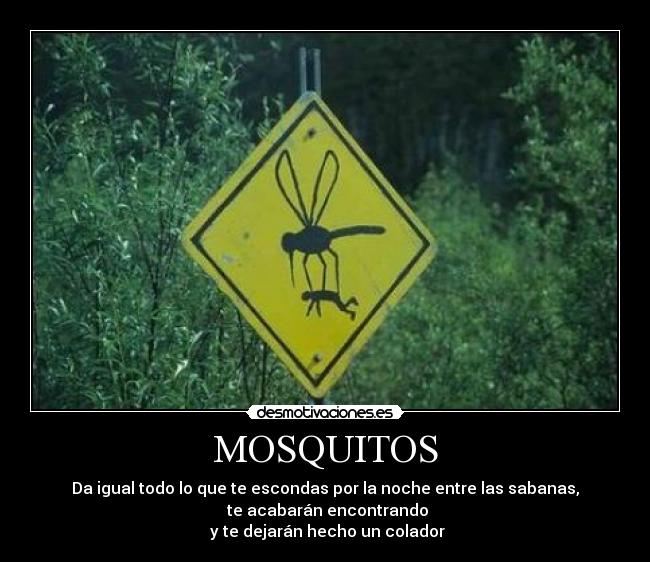 MOSQUITOS - Da igual todo lo que te escondas por la noche entre las sabanas,
 te acabarán encontrando
 y te dejarán hecho un colador