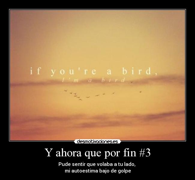 Y ahora que por fin #3 - Pude sentir que volaba a tu lado,
mi autoestima bajo de golpe