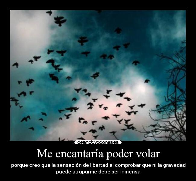 Me encantaría poder volar -
